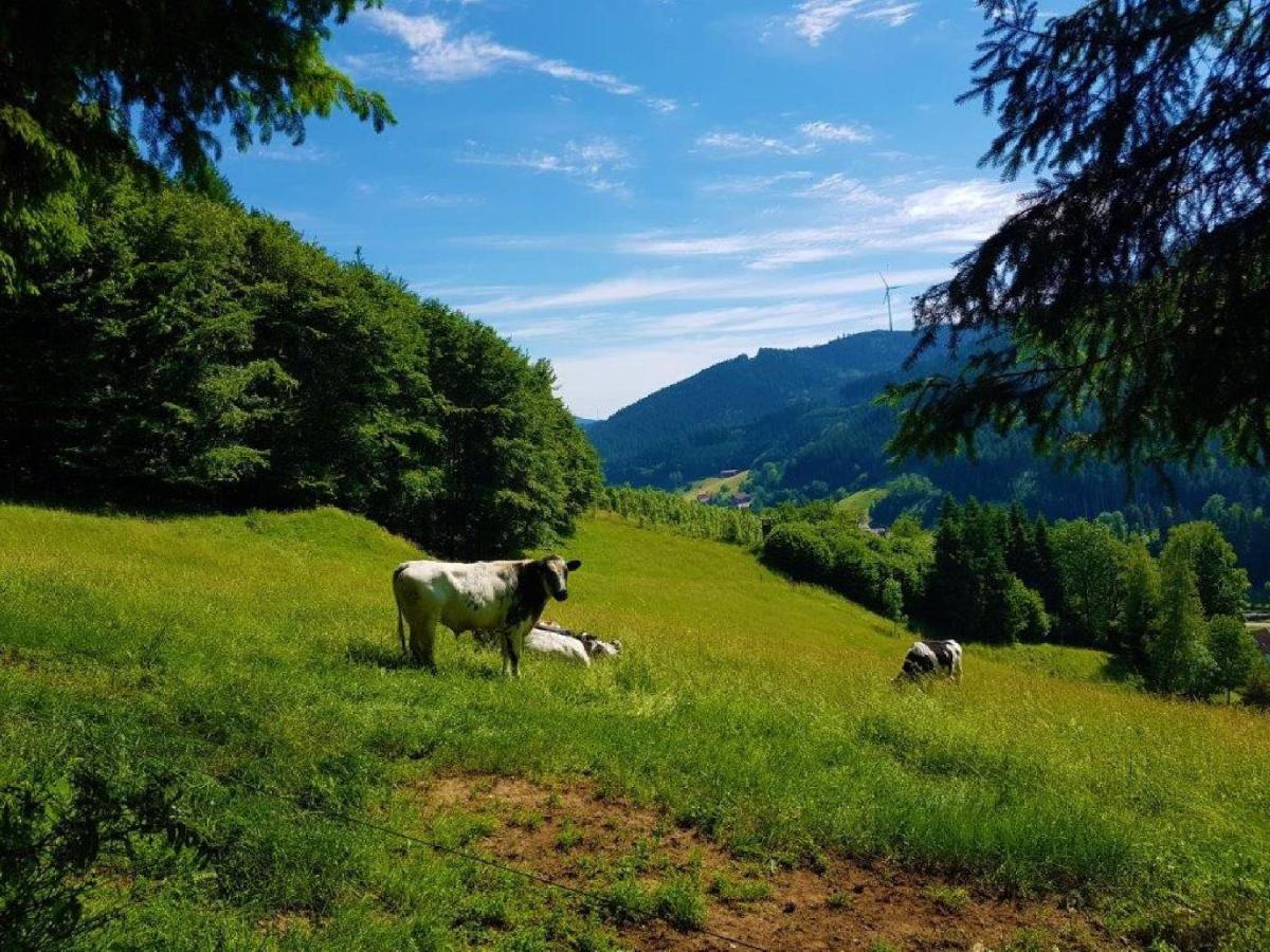 Hotel Walkenstein Oberwolfach エクステリア 写真