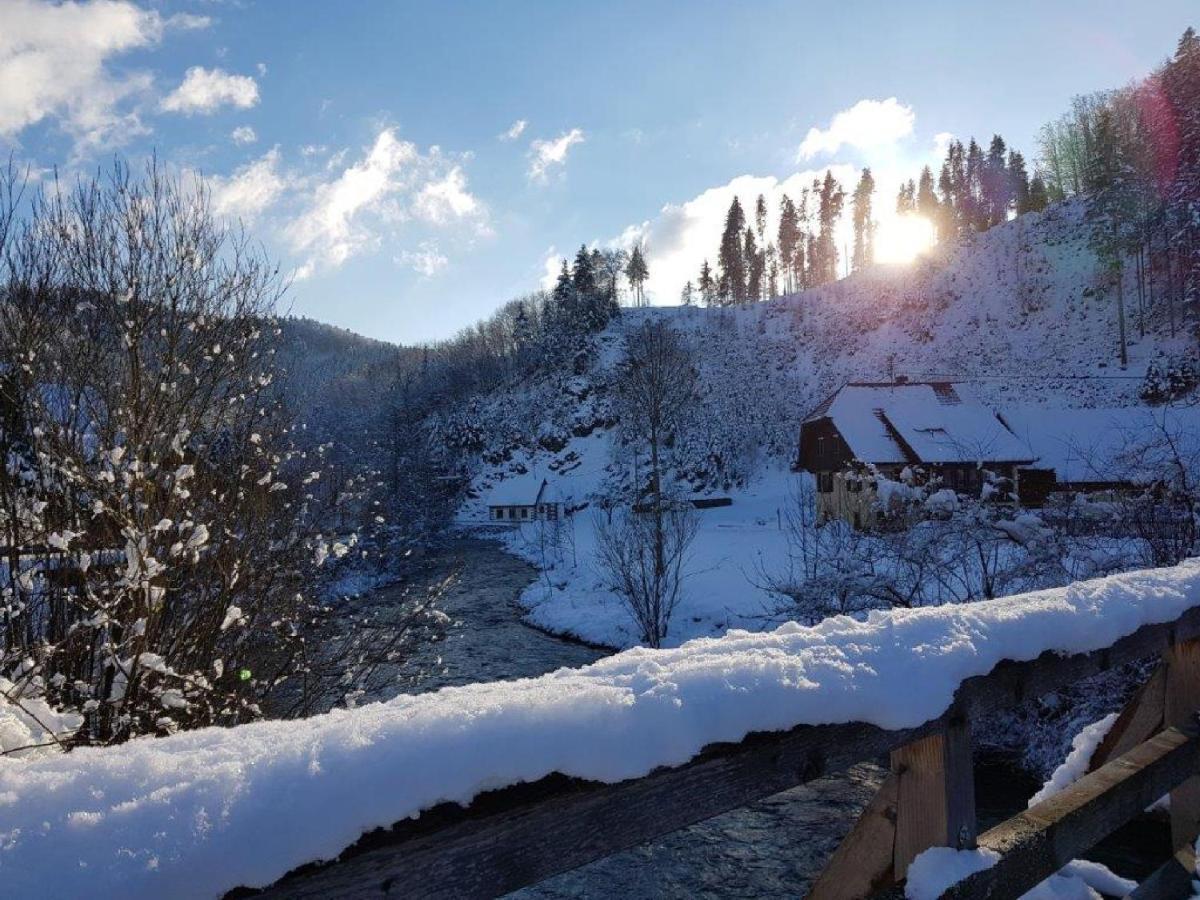Hotel Walkenstein Oberwolfach エクステリア 写真