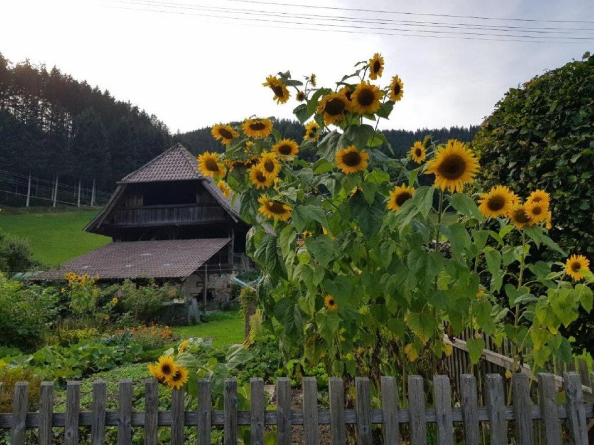 Hotel Walkenstein Oberwolfach エクステリア 写真